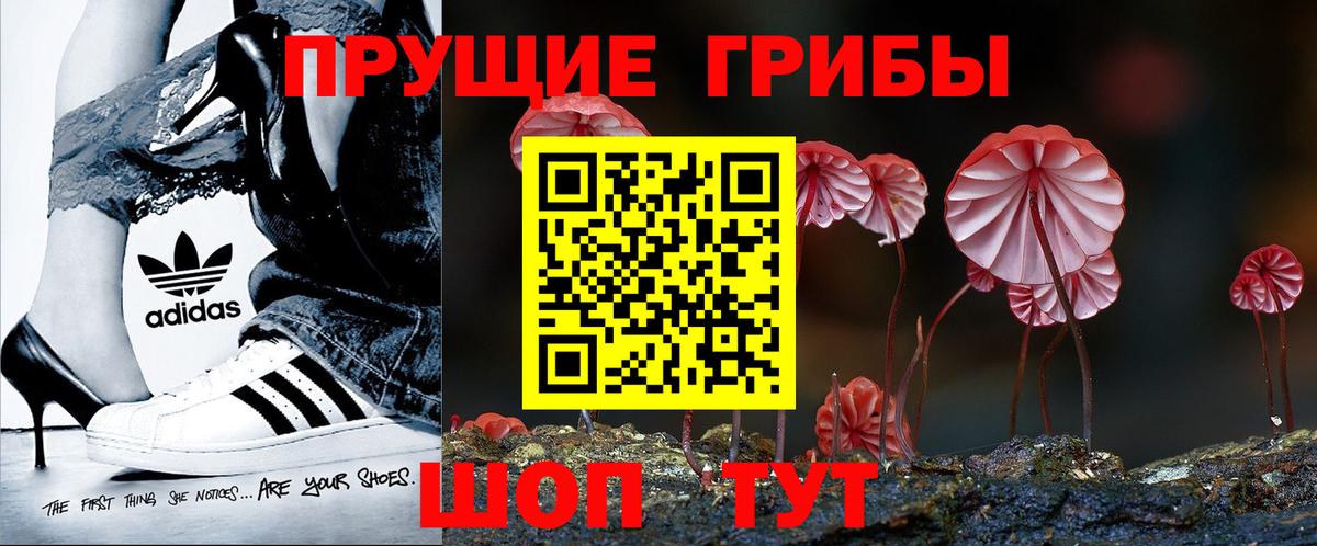 Галлюциногенные грибы MAGIC MUSHROOMS  купить наркоту  Менделеевск  Вход с VPN 